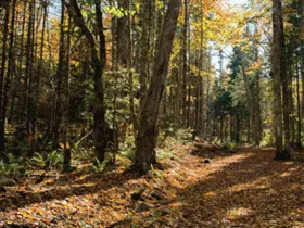 East Bay Hills Trail in Cape Breton Regional Municipality, Nova Scotia.