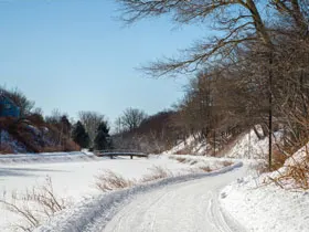 Renwick Brook Walking Path in Cape Breton Regional Municipality, Nova Scotia.